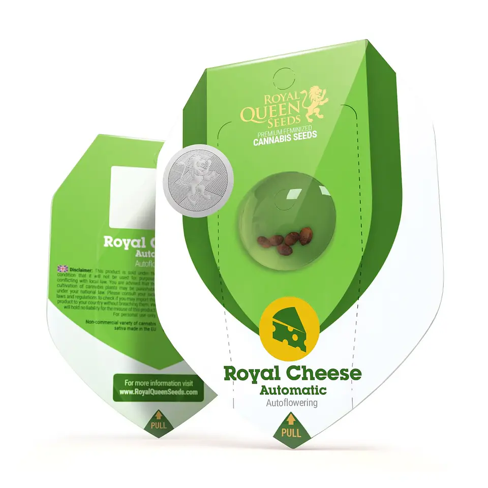 Royal Cheese Auto (X1 / X3 / X10) -Royal Queen Seeds 1