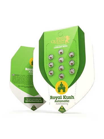 ROYAL KUSH AUTO X100-ROYAL QUEEN SEEDS 1