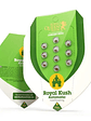 ROYAL KUSH AUTO X100-ROYAL QUEEN SEEDS - Miniatura 1
