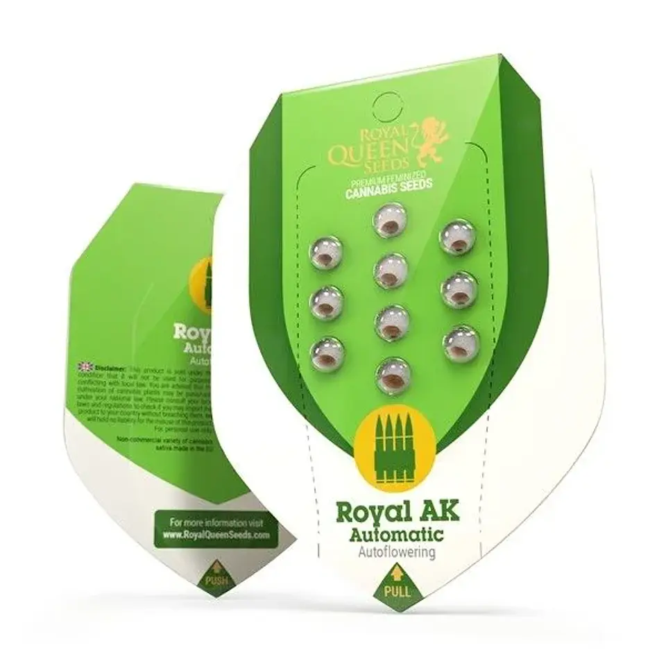 Royal Ak Auto -Royal Queen (X100X10/X3/X1) 3