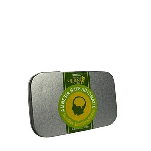AMNESIA HAZE AUTO X100-ROYAL QUEEN SEEDS