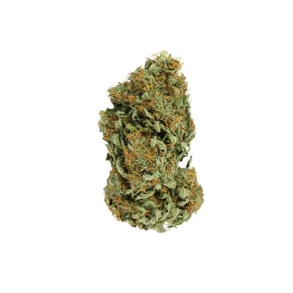 Sour Diesel Fem X3-Royal Queen 2