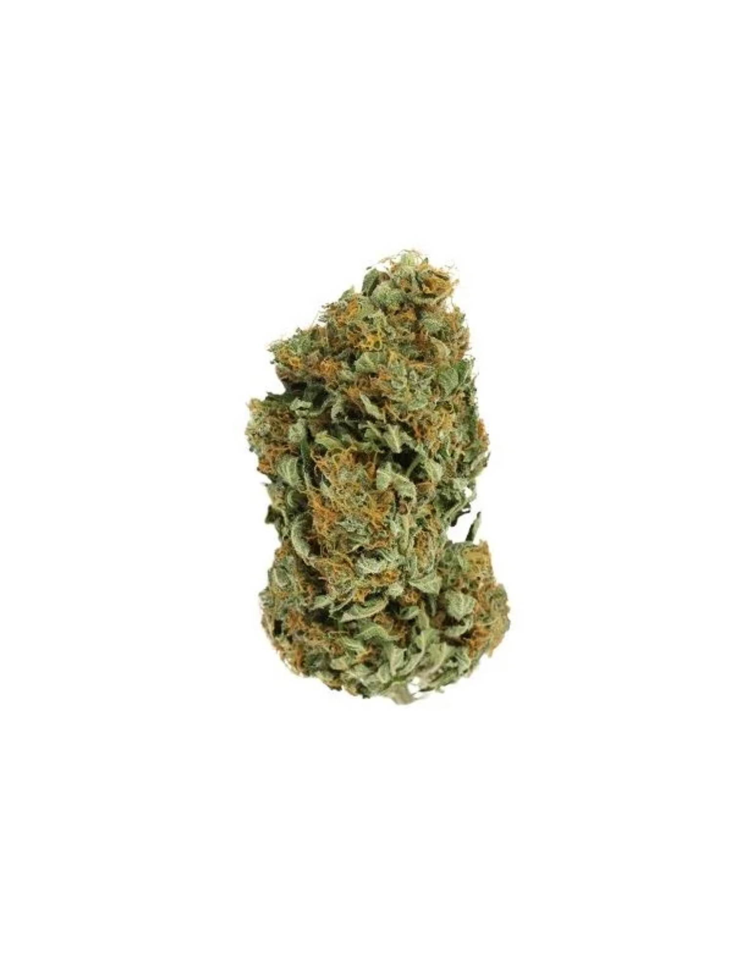 Sour Diesel Fem X3-Royal Queen 2