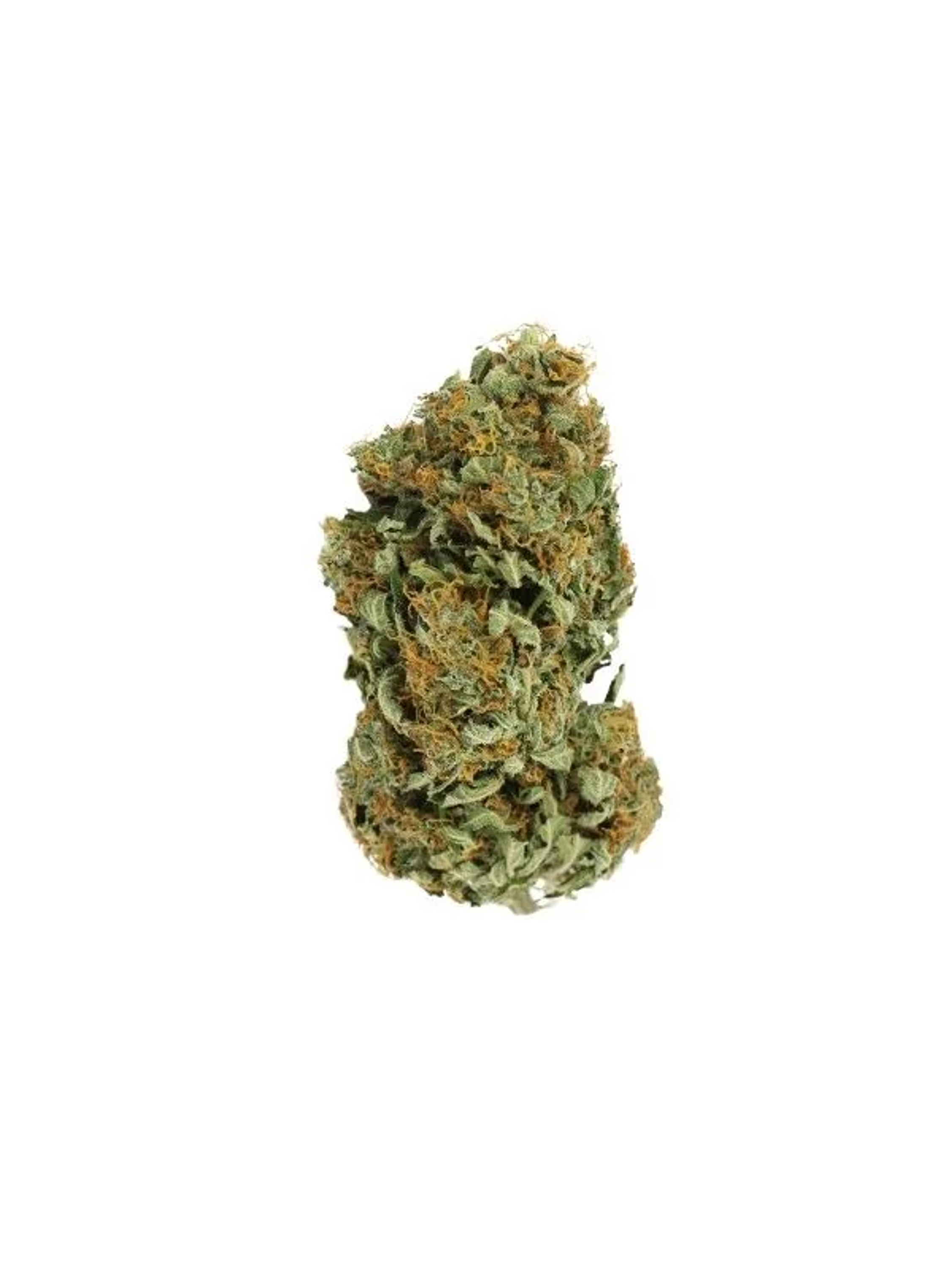 Sour Diesel Fem X3-Royal Queen 2