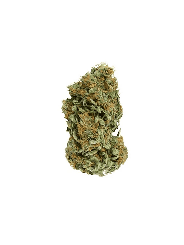 SOUR DIESEL FEM X3-ROYAL QUEEN 2