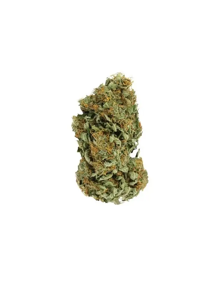 Sour Diesel Fem X3-Royal Queen 2
