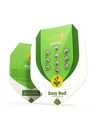 EASY BUD  AUTO X10-ROYAL QUEEN SEEDS 1