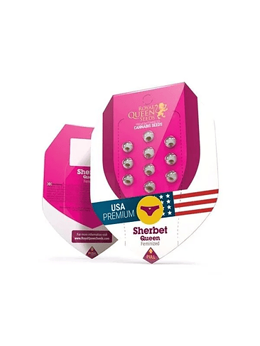 SHERBET QUEEN USA FEM X1-ROYAL QUEEN SEEDS 1