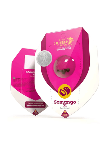 SOMANGO XL FEM X3-ROYAL QUEEN 1