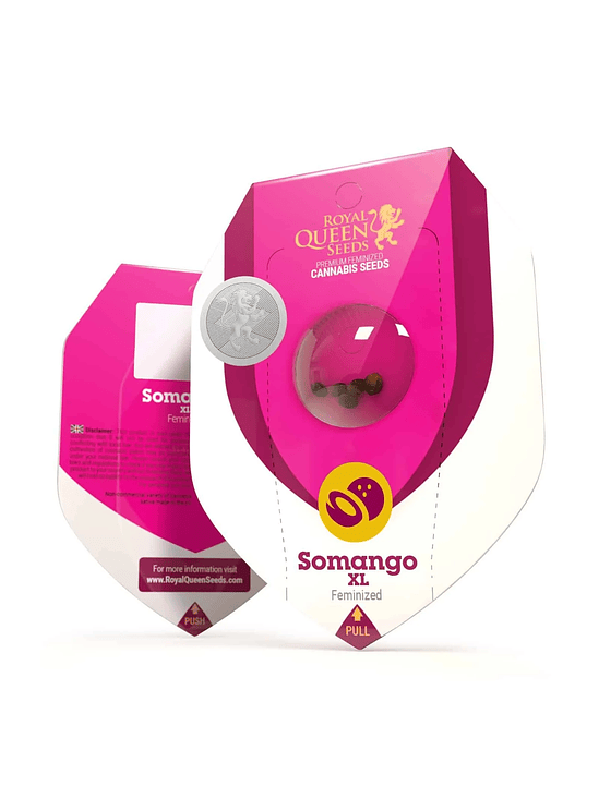 SOMANGO XL FEM X3-ROYAL QUEEN 1