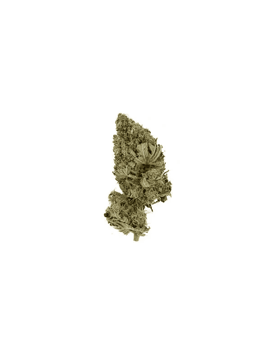 PINEAPPLE KUSH  FEM X3-ROYAL QUEEN SEEDS 2