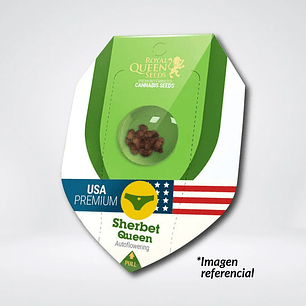 SHERBET QUEEN USA PREMIUM AUTO X3-ROYAL QUEEN