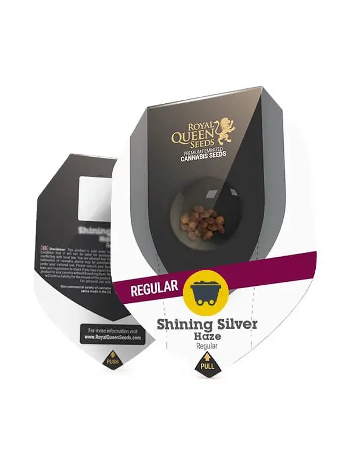 Shining Silver Haze-New Reg. X10-Royal Queen Seeds 1