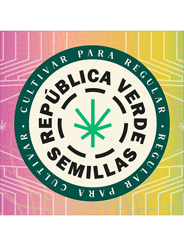 GORILLA HAZE AUTO X3 - REPUBLICA VERDE 3