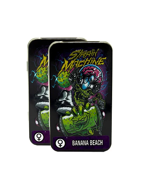 Banana Beach Auto X3 2X1 -Strain Machine 1