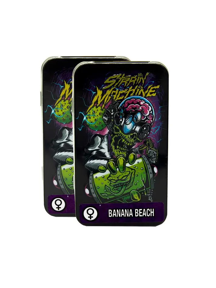 Banana Beach Auto X3 2X1 -Strain Machine 1