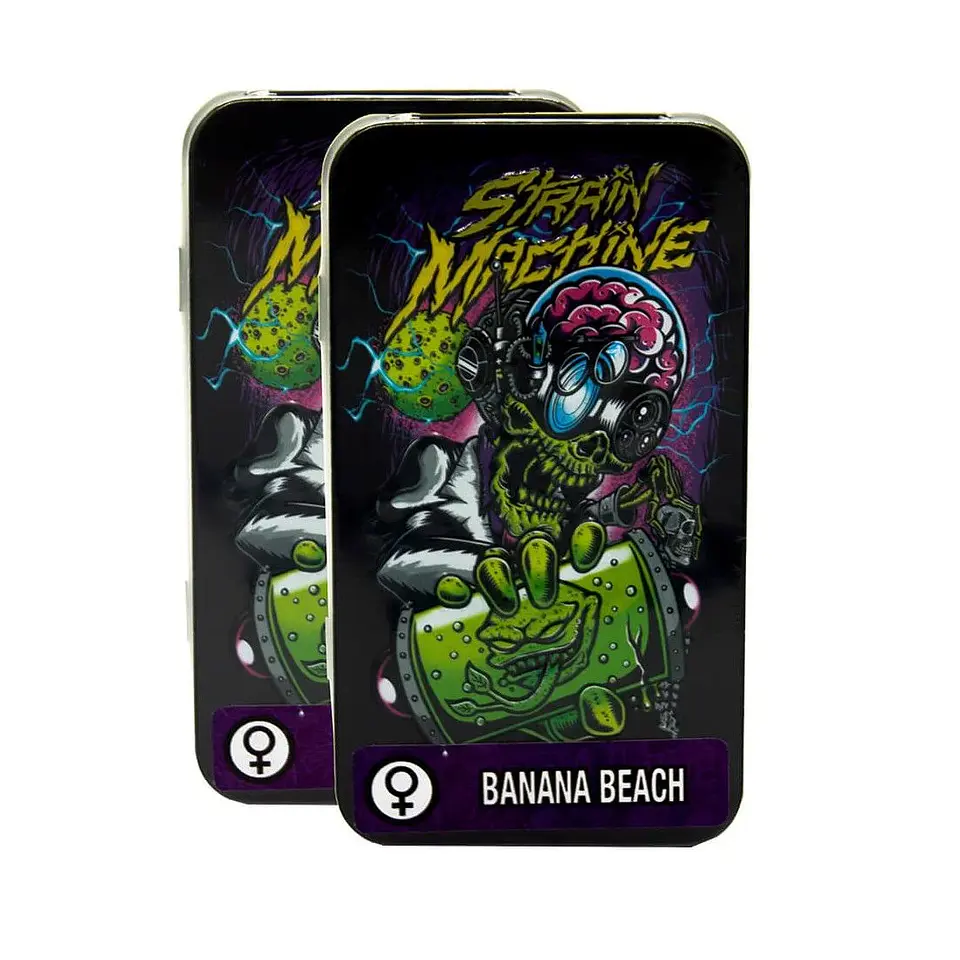 Banana Beach Auto X3 2X1 -Strain Machine 1