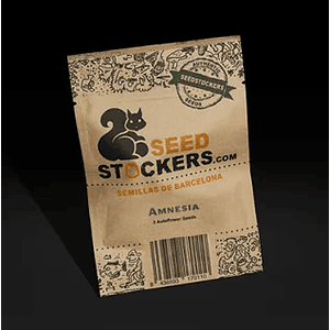 Amnesia Auto X100-Seedstockers