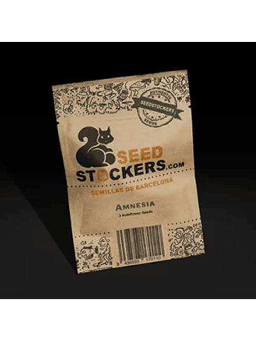 AMNESIA AUTO X100-SEEDSTOCKERS 1