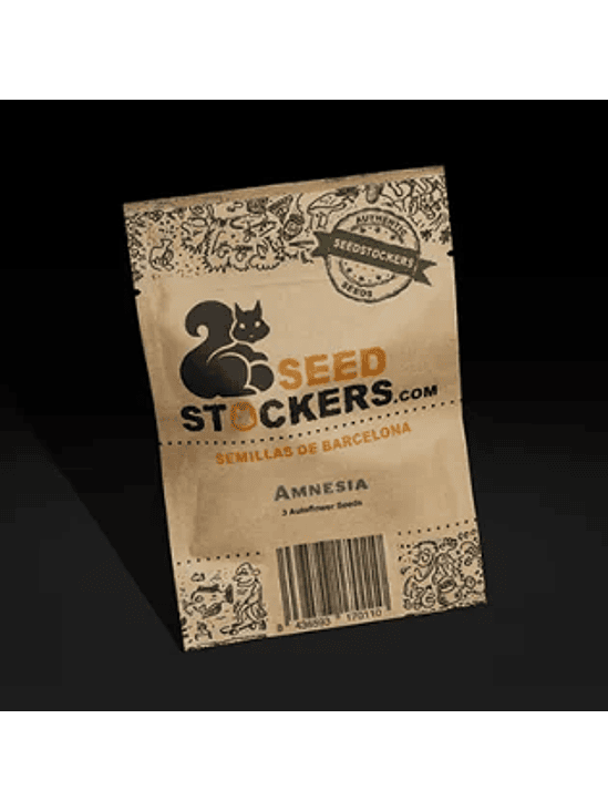 AMNESIA AUTO X100-SEEDSTOCKERS 1