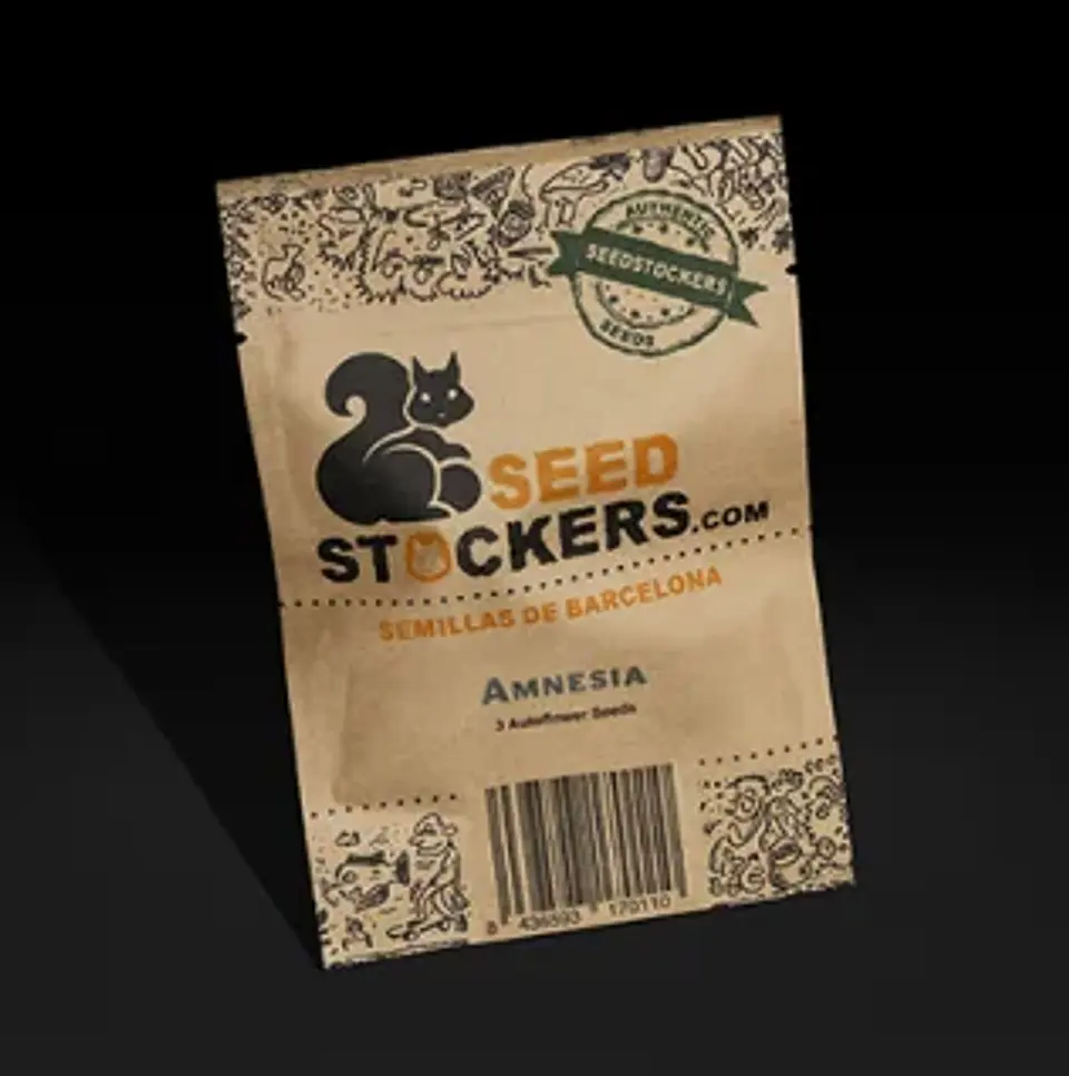 Amnesia Auto -Seedstockers (X100/X3) 1