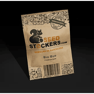 BIG BUD AUTO X100-SEEDSTOCKERS