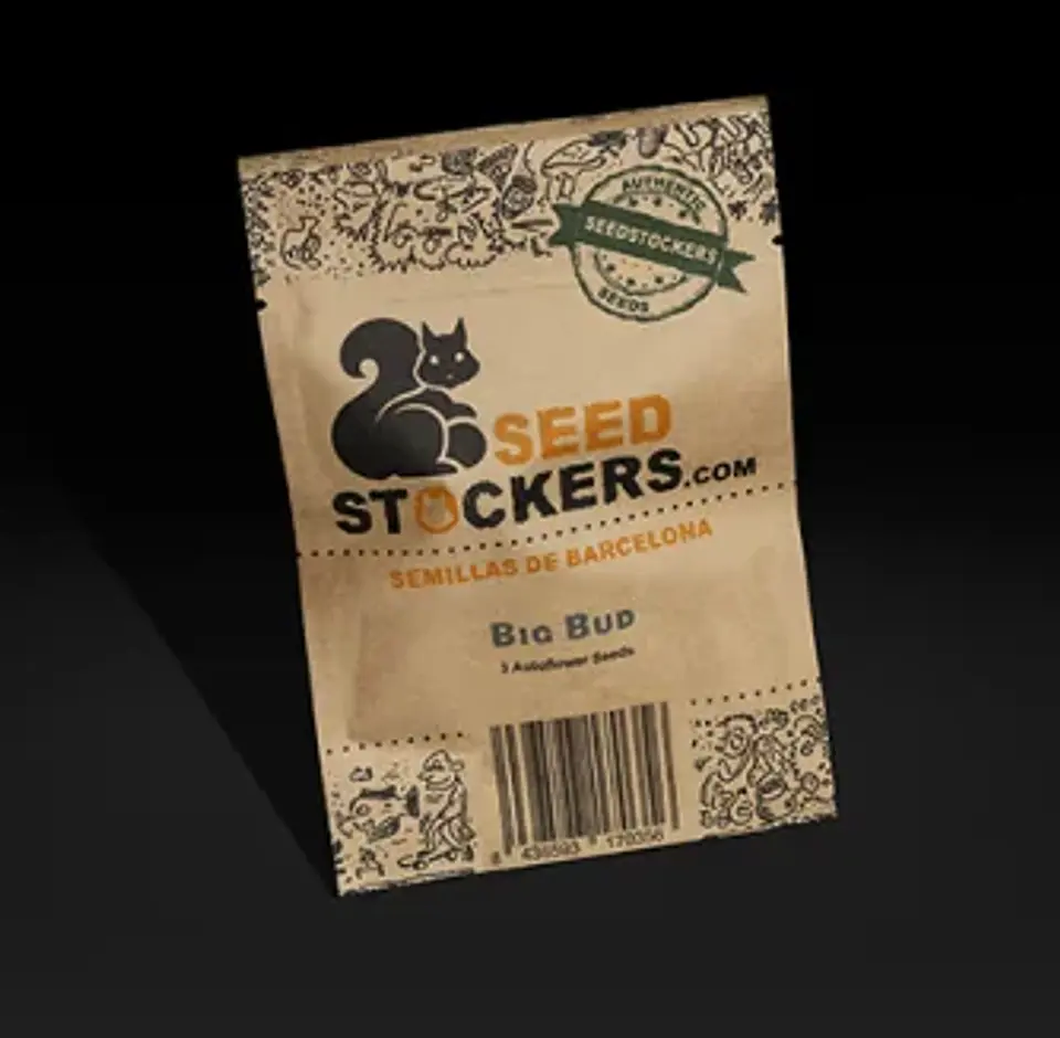 Big Bud Auto -Seedstockers (X100/X3) 1
