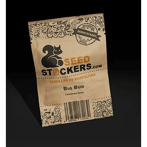 Big Bud Fem X100-Seedstockers