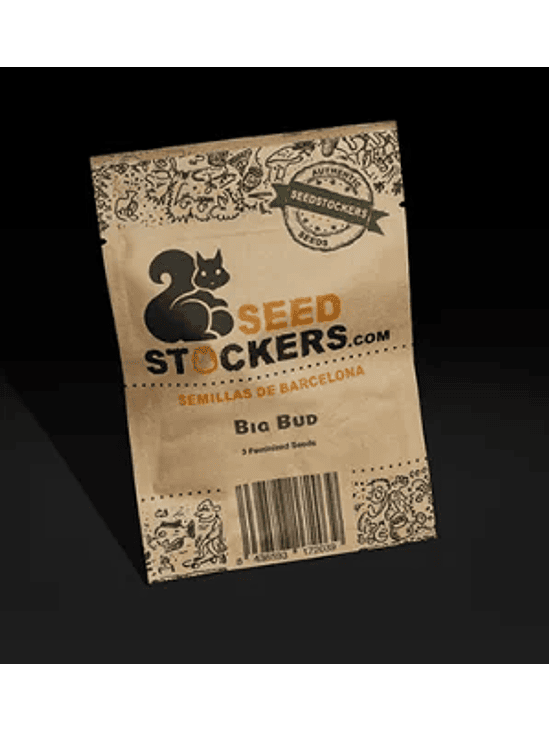 BIG BUD FEM X100-SEEDSTOCKERS 1