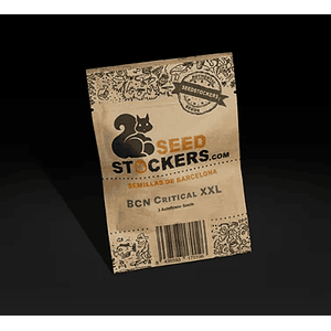 Bcn Critical Xxl Auto X100-Seedstockers