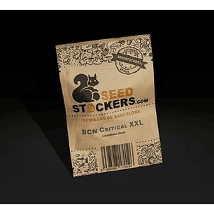 BCN CRITICAL XXL AUTO X100-SEEDSTOCKERS