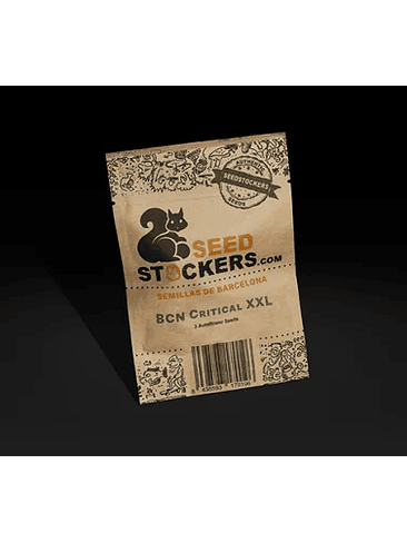 BCN CRITICAL XXL AUTO X100-SEEDSTOCKERS 1