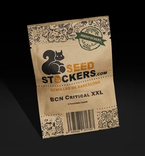 Bcn Critical Xxl Fem X100-Seedstockers 1