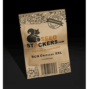 BCN CRITICAL XXL FEM X100-SEEDSTOCKERS