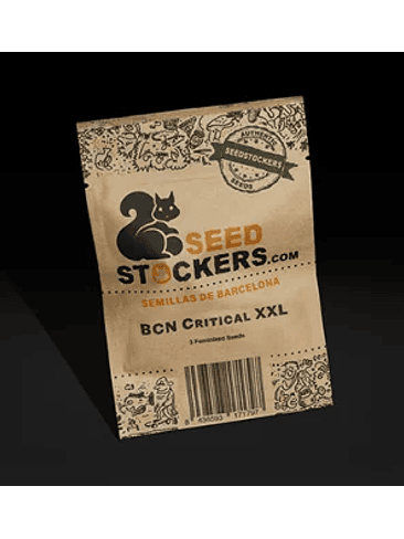 BCN CRITICAL XXL FEM X100-SEEDSTOCKERS 1