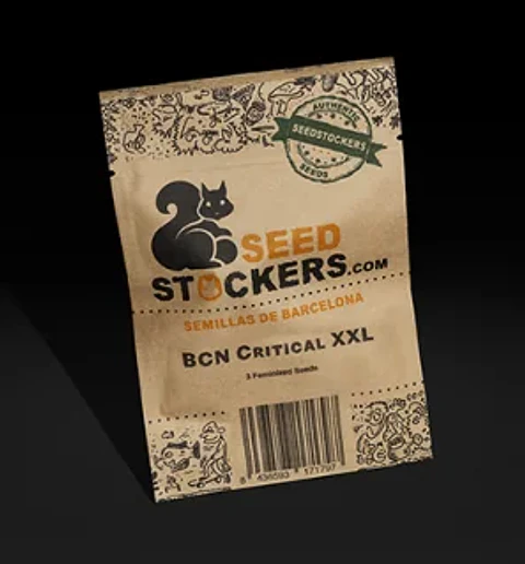 Bcn Critical Xxl Fem X100-Seedstockers