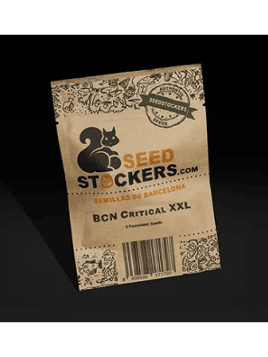 BCN CRITICAL XXL FEM X100-SEEDSTOCKERS 1