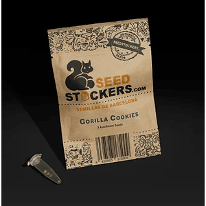 Gorilla Cookies Auto X3-Seedstockers