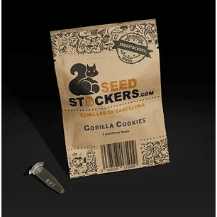 GORILLA COOKIES AUTO X3-SEEDSTOCKERS