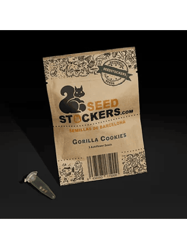 GORILLA COOKIES AUTO X3-SEEDSTOCKERS 1