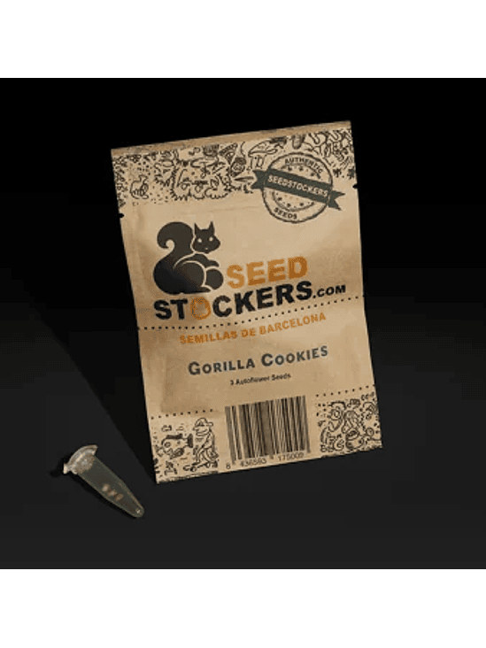 GORILLA COOKIES AUTO X3-SEEDSTOCKERS 1