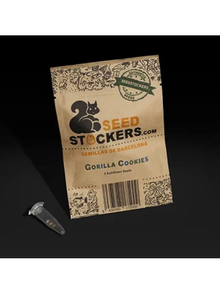 Gorilla Cookies Auto X3-Seedstockers 1