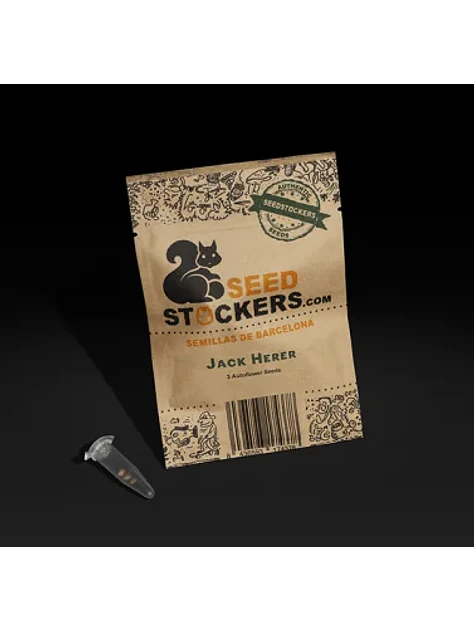 Jack Herer Auto X3-Seedstockers 1