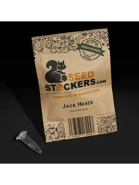 Jack Herer Fem X3-Seedstockers 1