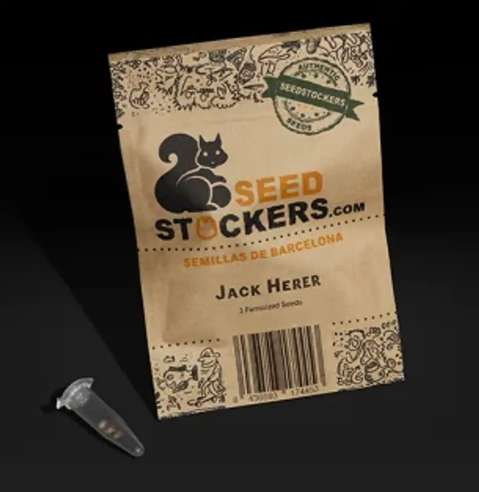 Jack Herer Fem X3-Seedstockers 1