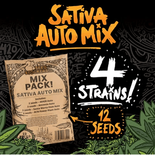 SATIVA AUTO MIX X12-SEEDSTOCKERS
