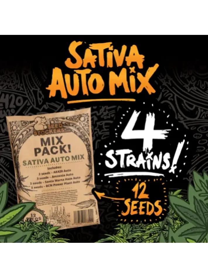 Sativa Auto Mix X12-Seedstockers 1