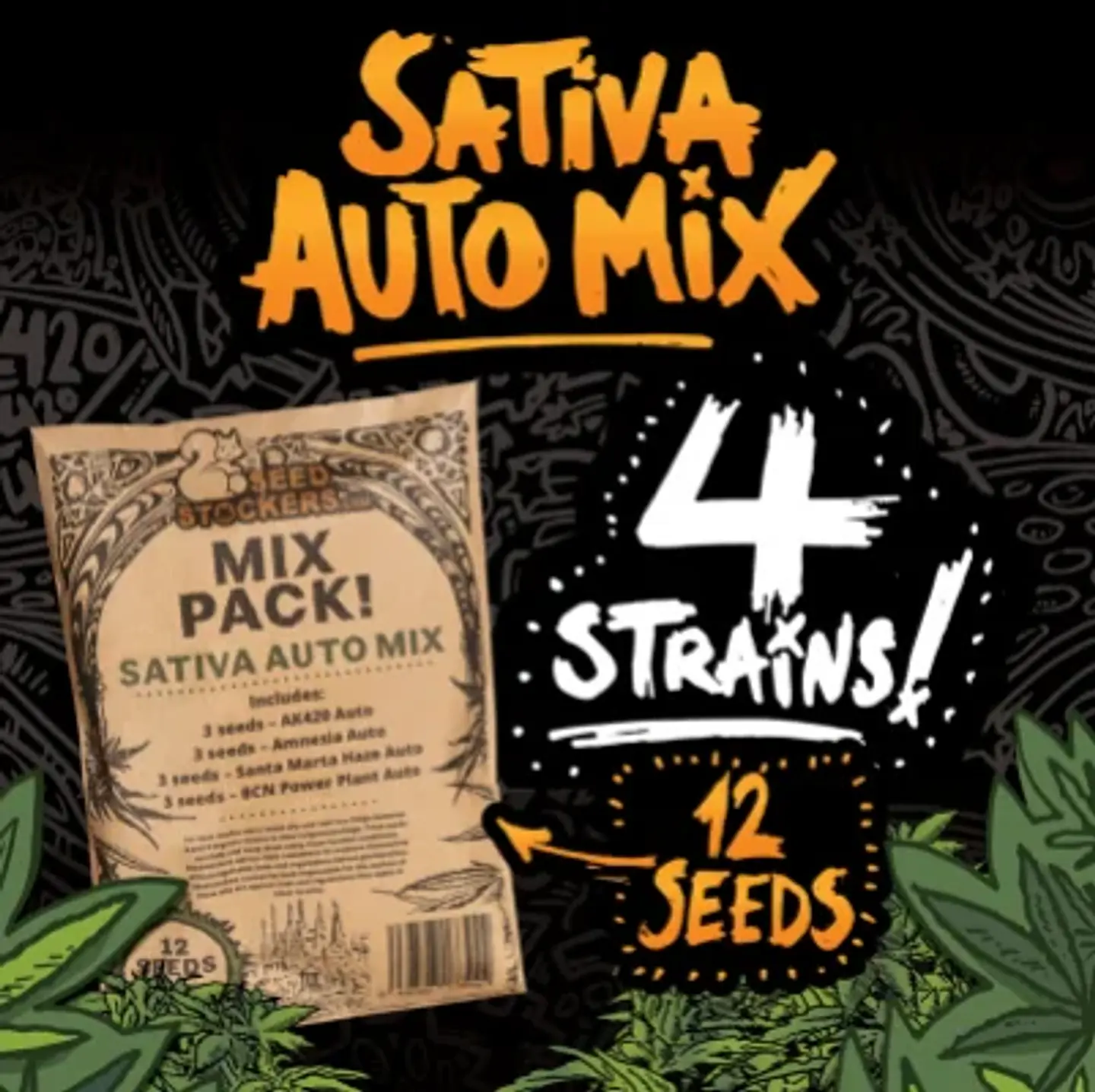 Sativa Auto Mix X12-Seedstockers 1