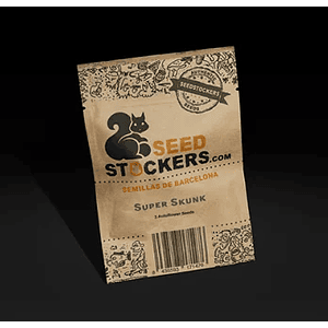 Super Skunk Auto X100 -Seedstockers