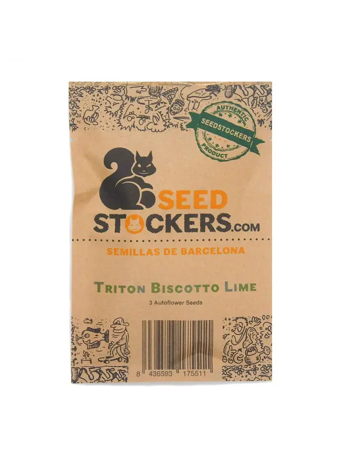 Triton Biscotto Lime Auto X3 - Seedstockers 1